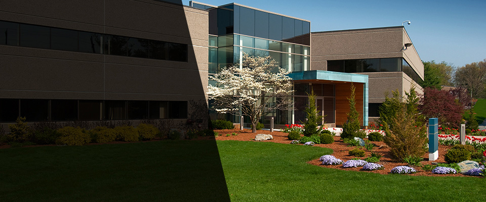 Sammamish Landscapers