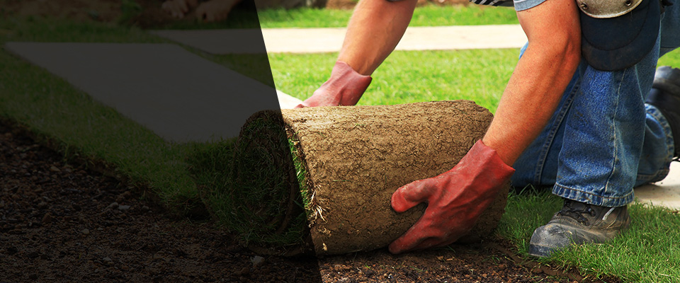 Sammamish Landscapers